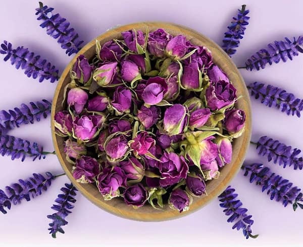 تصویر 4 از فروش غنچه لاله زار کرمان + قیمت خرید به صرفه